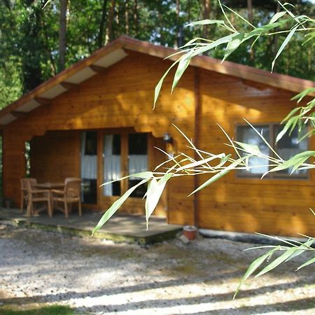 Bospark De Brenkberg Schinveld Bagian luar foto