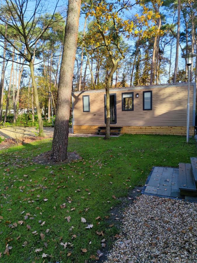Bospark De Brenkberg Schinveld Bagian luar foto