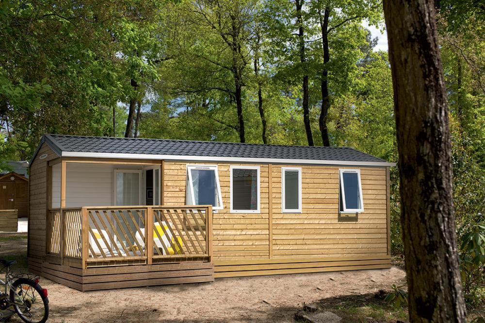 Bospark De Brenkberg Schinveld Ruang foto