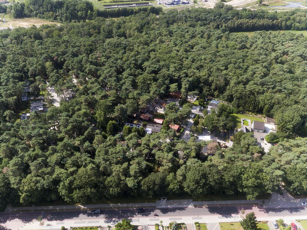 Bospark De Brenkberg Schinveld Bagian luar foto
