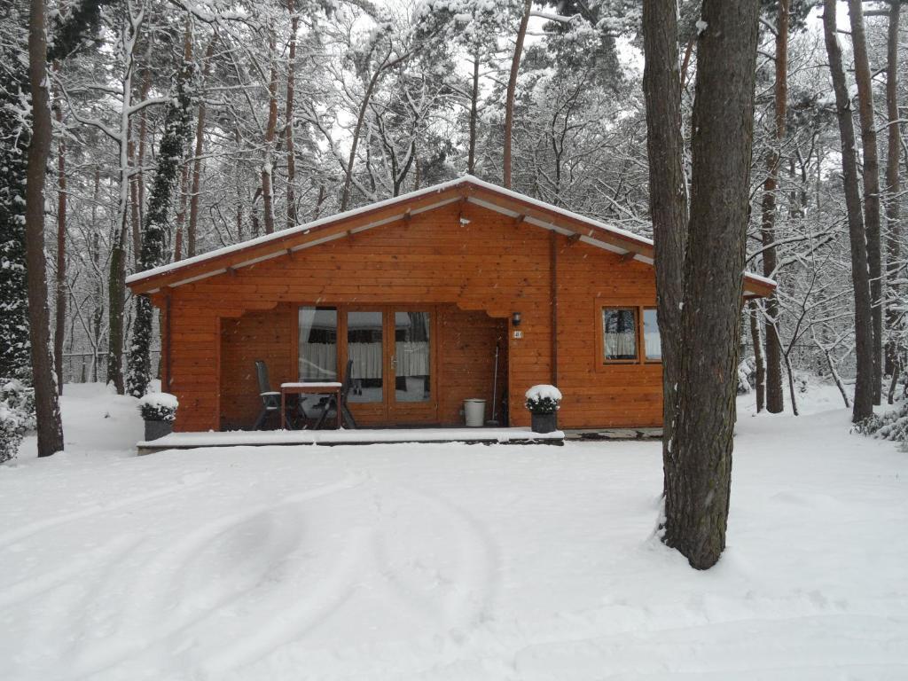 Bospark De Brenkberg Schinveld Bagian luar foto