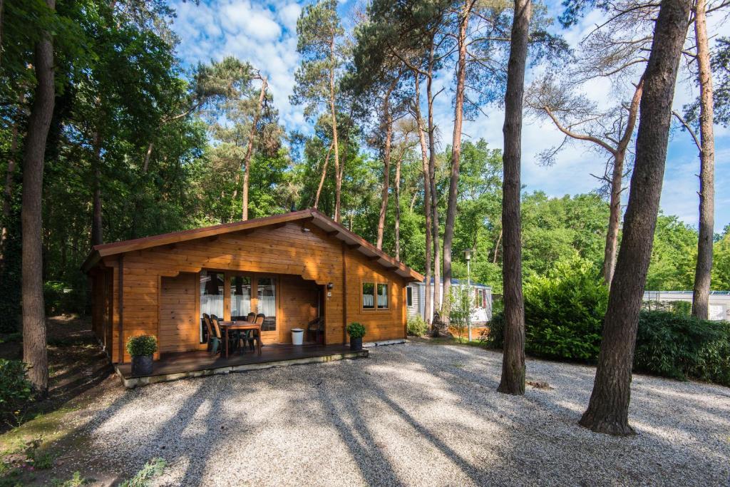 Bospark De Brenkberg Schinveld Ruang foto