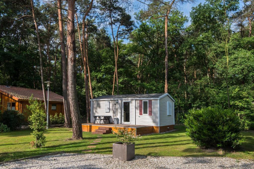 Bospark De Brenkberg Schinveld Ruang foto